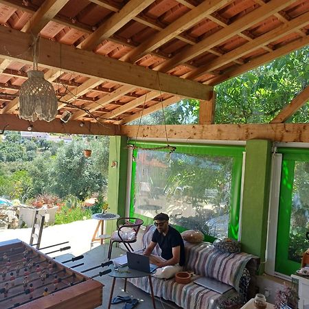 טומאר Lameira Da Longra - Bohemian Artistic House & Coliving מראה חיצוני תמונה