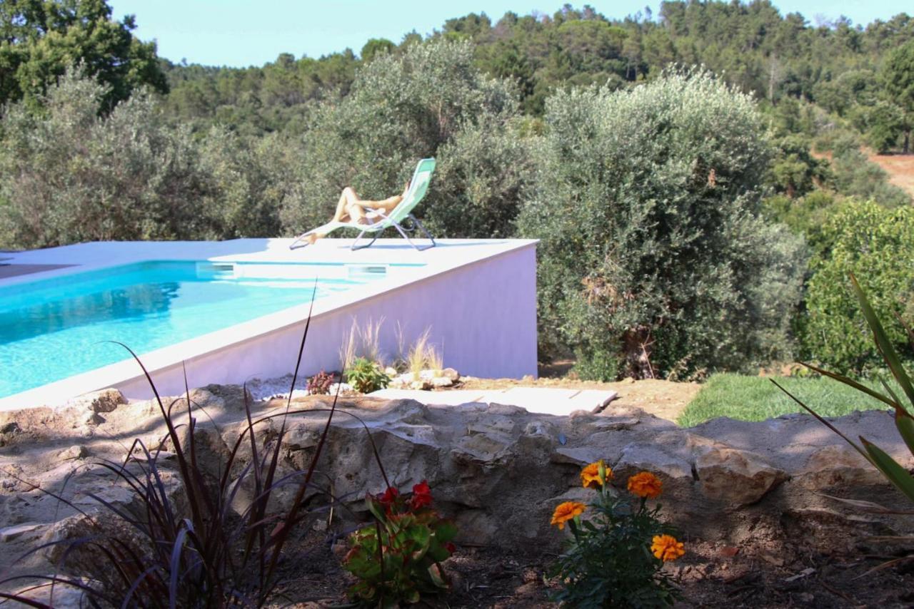 טומאר Lameira Da Longra - Bohemian Artistic House & Coliving מראה חיצוני תמונה